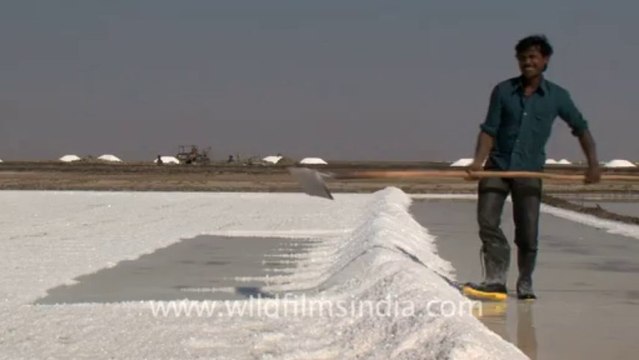 Rann-of-kutch-hdv-tape-7-crystallization of salt-5