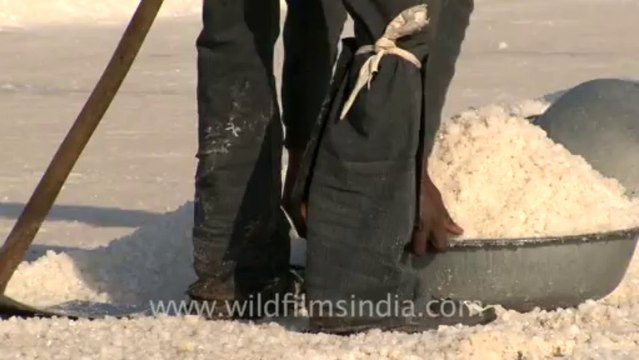 Rann-of-kutch-hdv-tape-5-salt workers-1