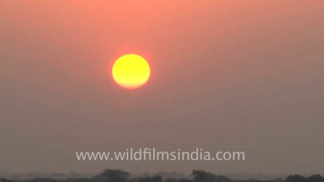 Rann-of-kutch-hdv-tape-5-sunrise-1