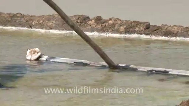 Rann-of-kutch-hdv-tape-6-crystallization of salt-1