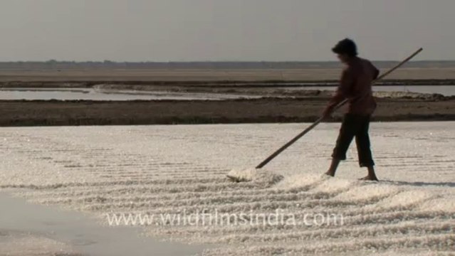 Rann-of-kutch-hdv-tape-6-salt workers-2