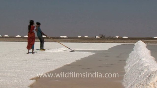 Rann-of-kutch-hdv-tape-7-crystallization of salt-4