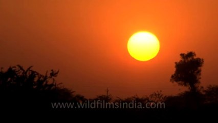 Rann-of-kutch-hdv-tape-9-Sunset-1
