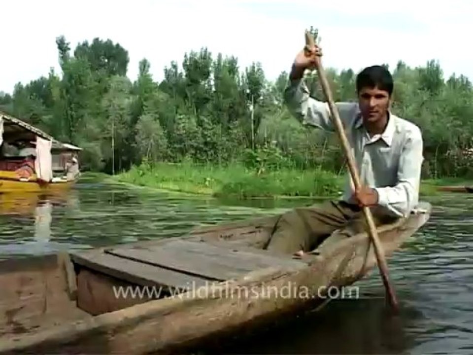 Srinagar-dallake-3