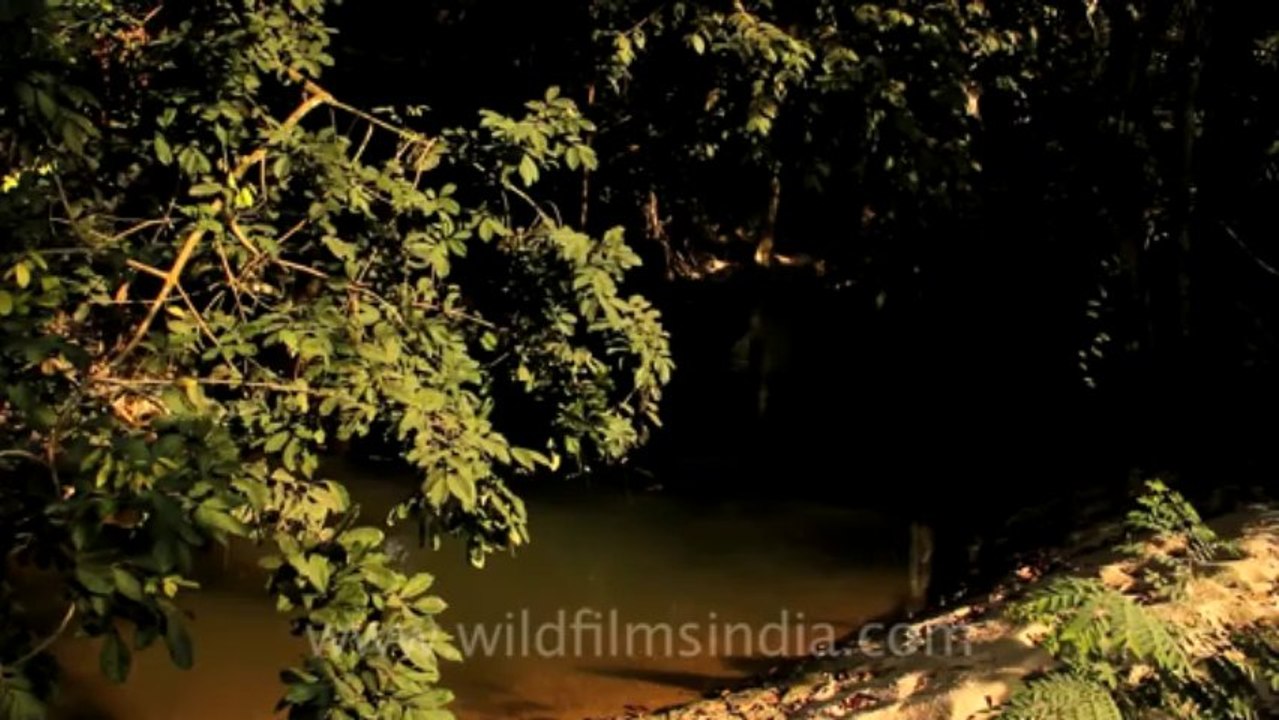 Thailand-Koh Samui-3