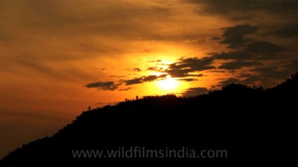 Timor-Wildlife-Landscape-21