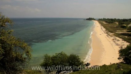 Timor-Wildlife-Landscape-24