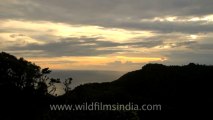 Timor-Wildlife-Timelapses-4