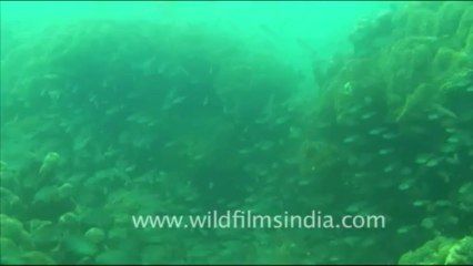 Under water_tape_6a_00-23-09-23