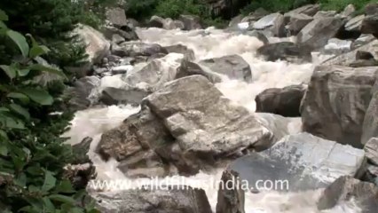 Valley of flowers-tape-3-6-river