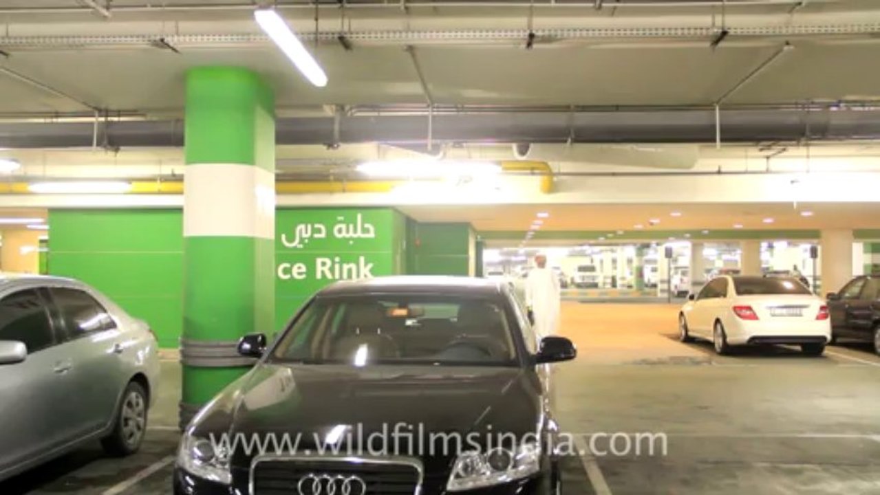 dubai car parking