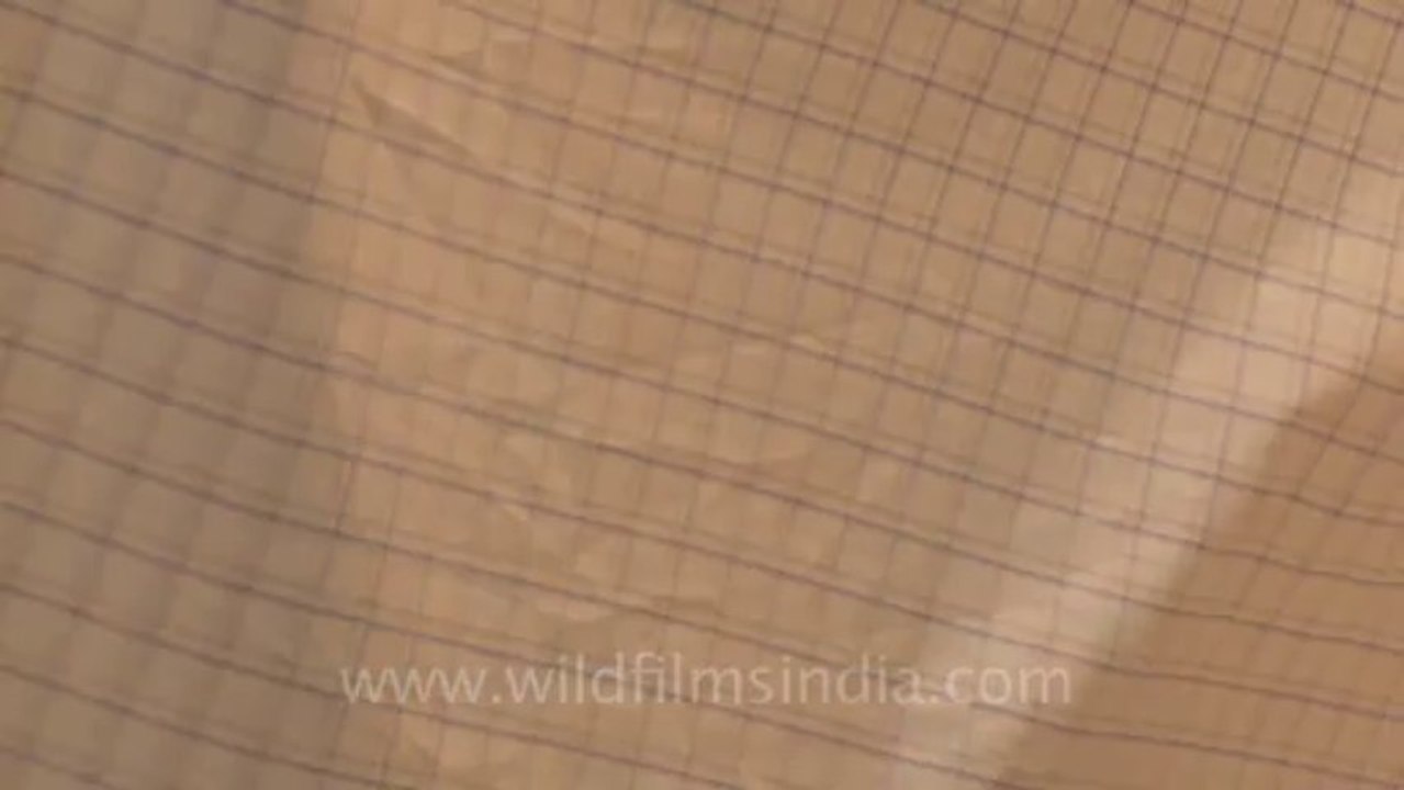 cotton cloth-4