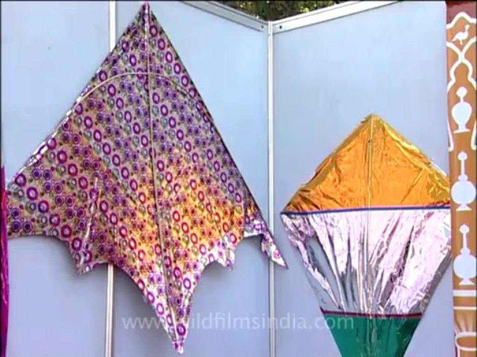 Delhi-kitefestival-8