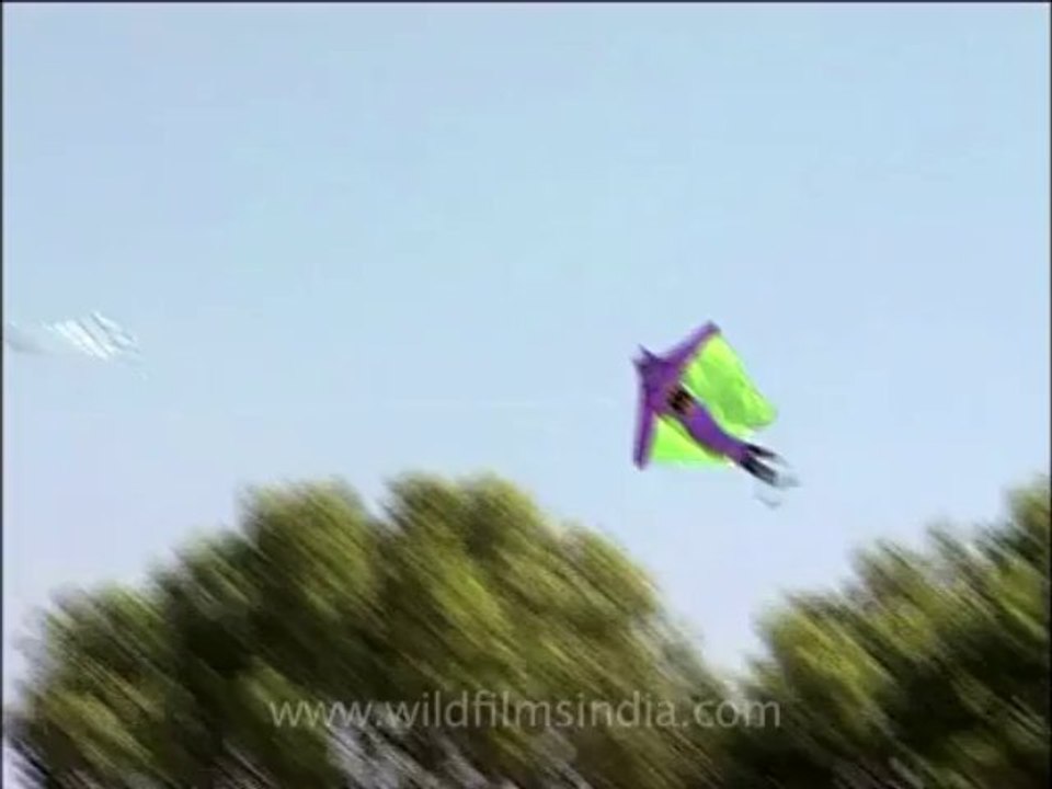 Delhi-kitefestival-9