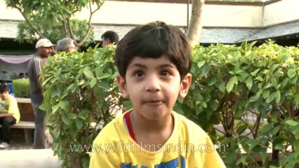 Dilli haat-pitampura-10