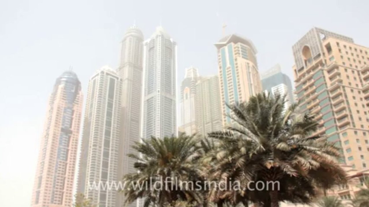 dubai marina