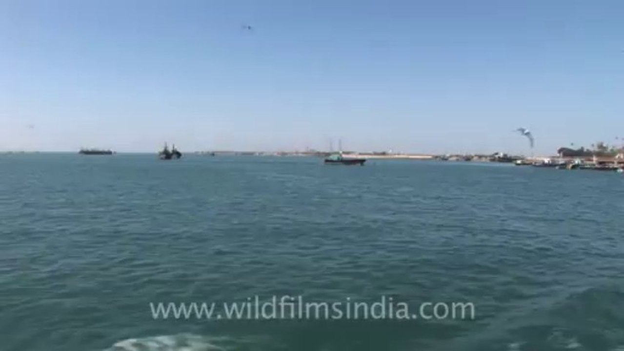 Dwarka-41