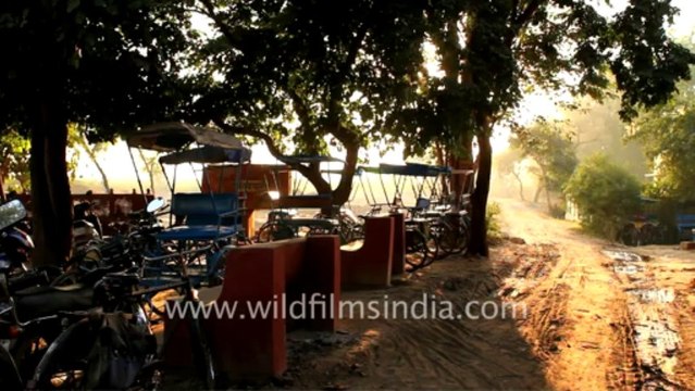 Eco friendly park - Keoladeo Ghana National Park