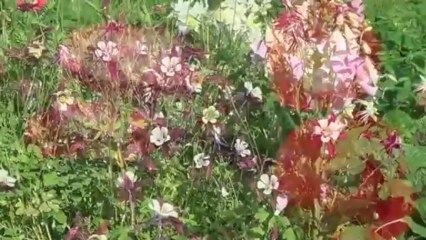 AUM OM - Relax and meditate on the sound of OM - Official Video by GODAFRID