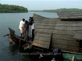 Kerala-backwaters-14