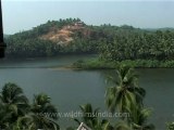 Kerala-backwaters-2