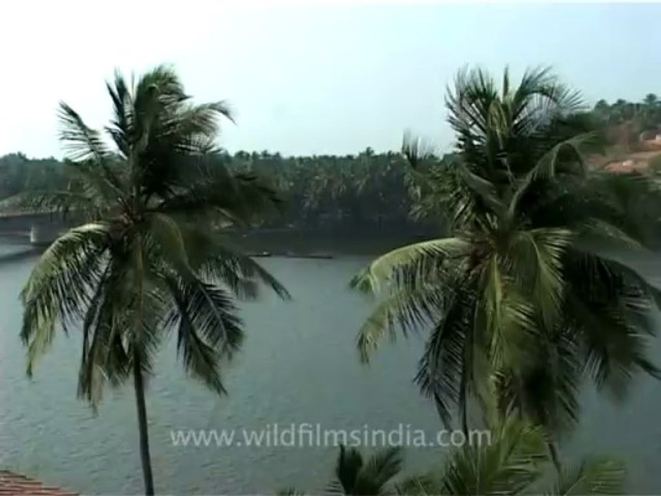 Kerala-backwaters-5