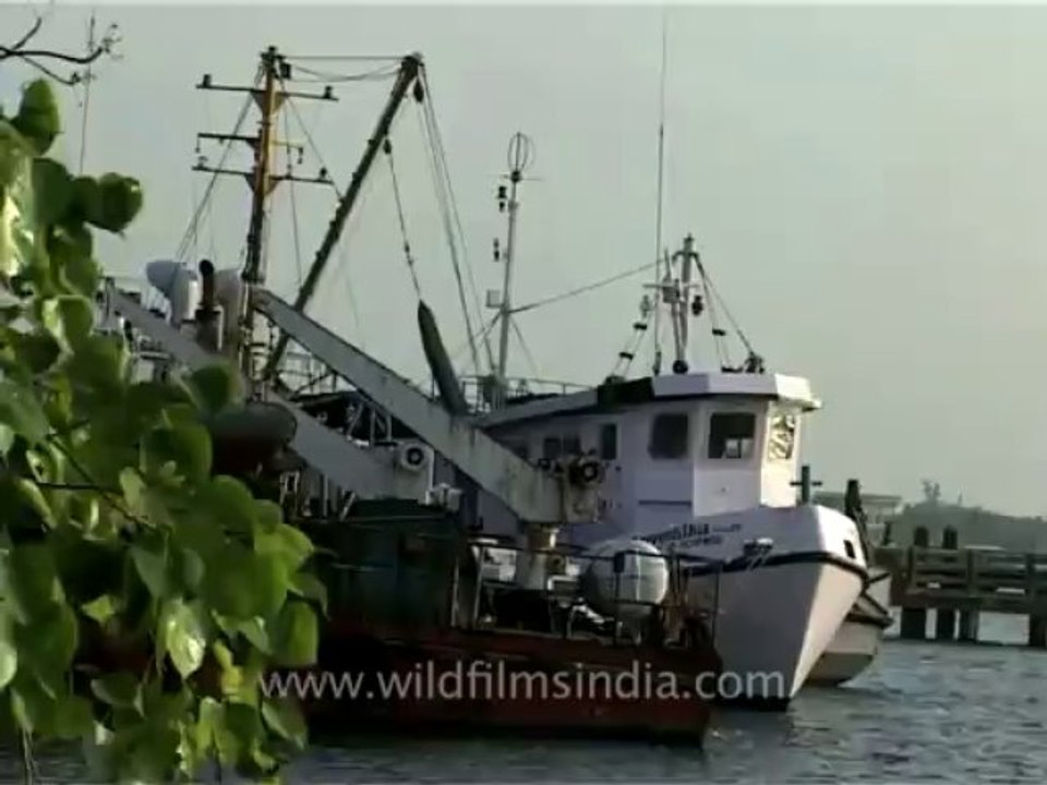 Kerala-Roads-2