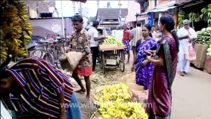 Kerala-trivandrum-10