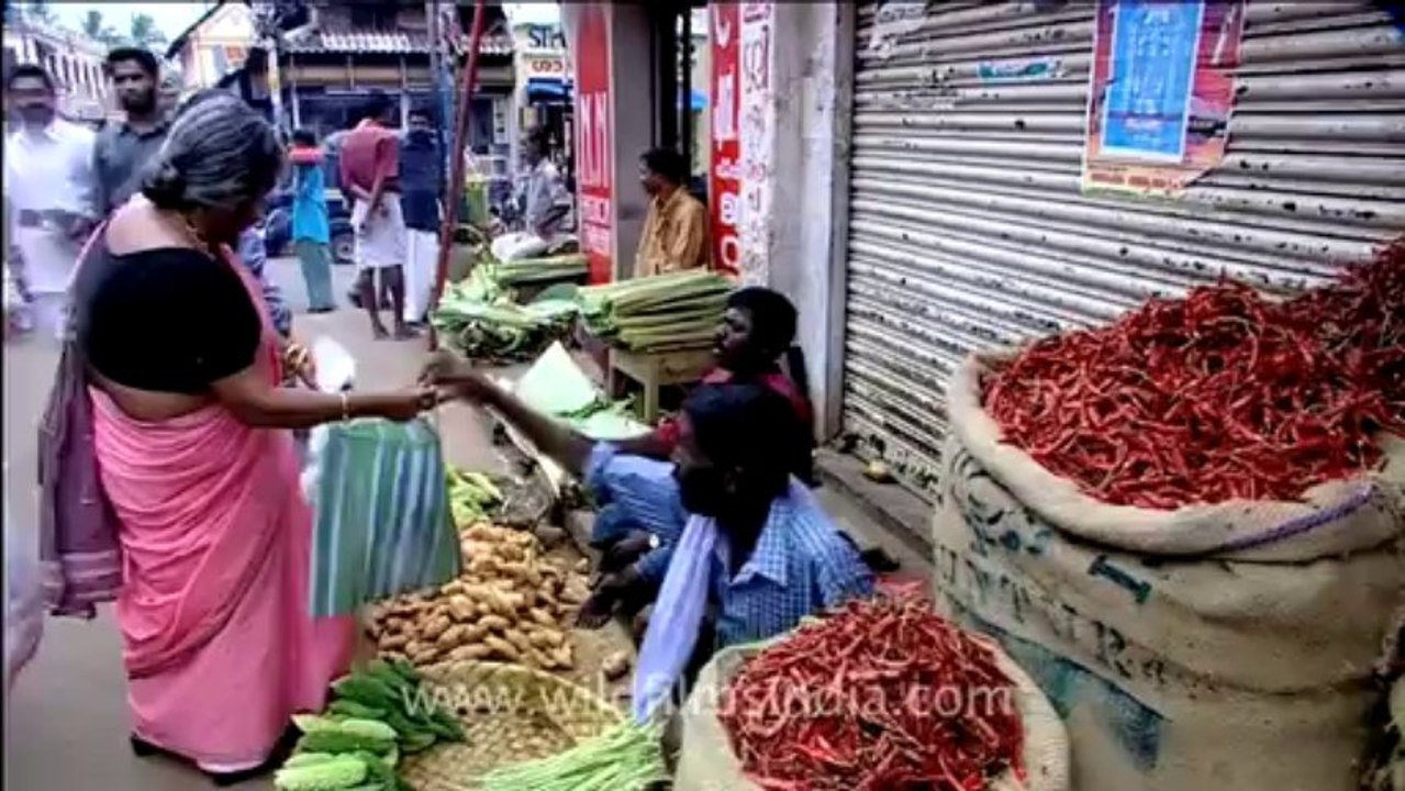 Kerala-trivandrum-12