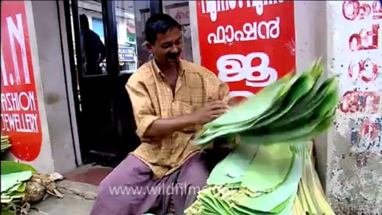 Kerala-trivandrum-13