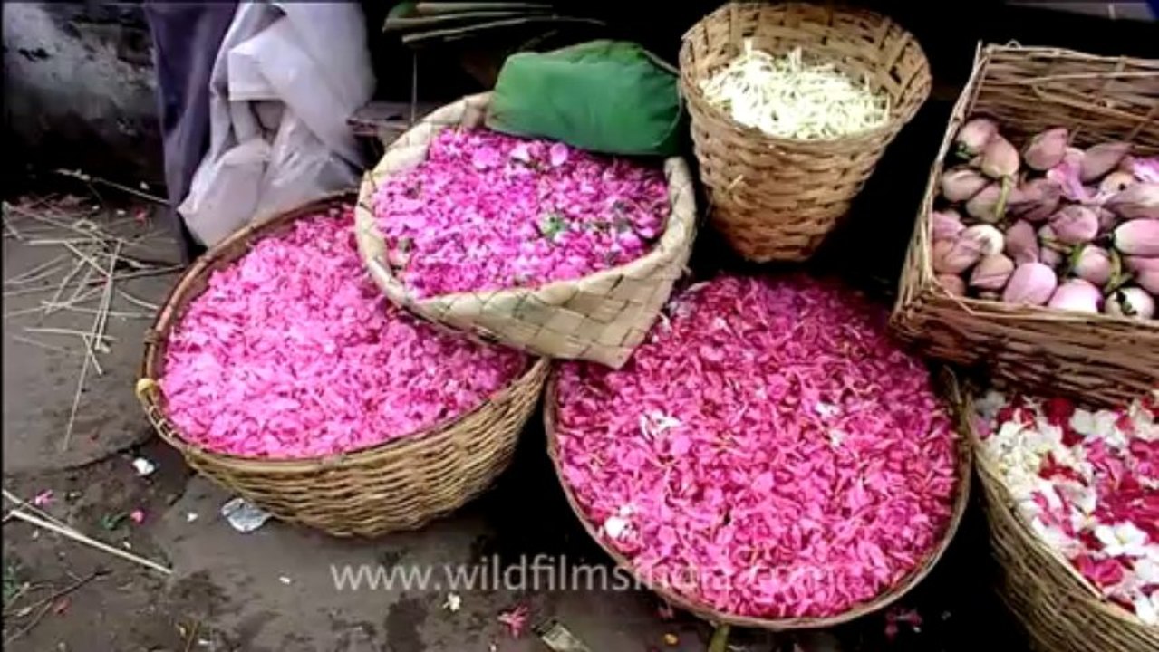 Kerala-trivandrum-4