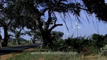 Kerala-windmills-2