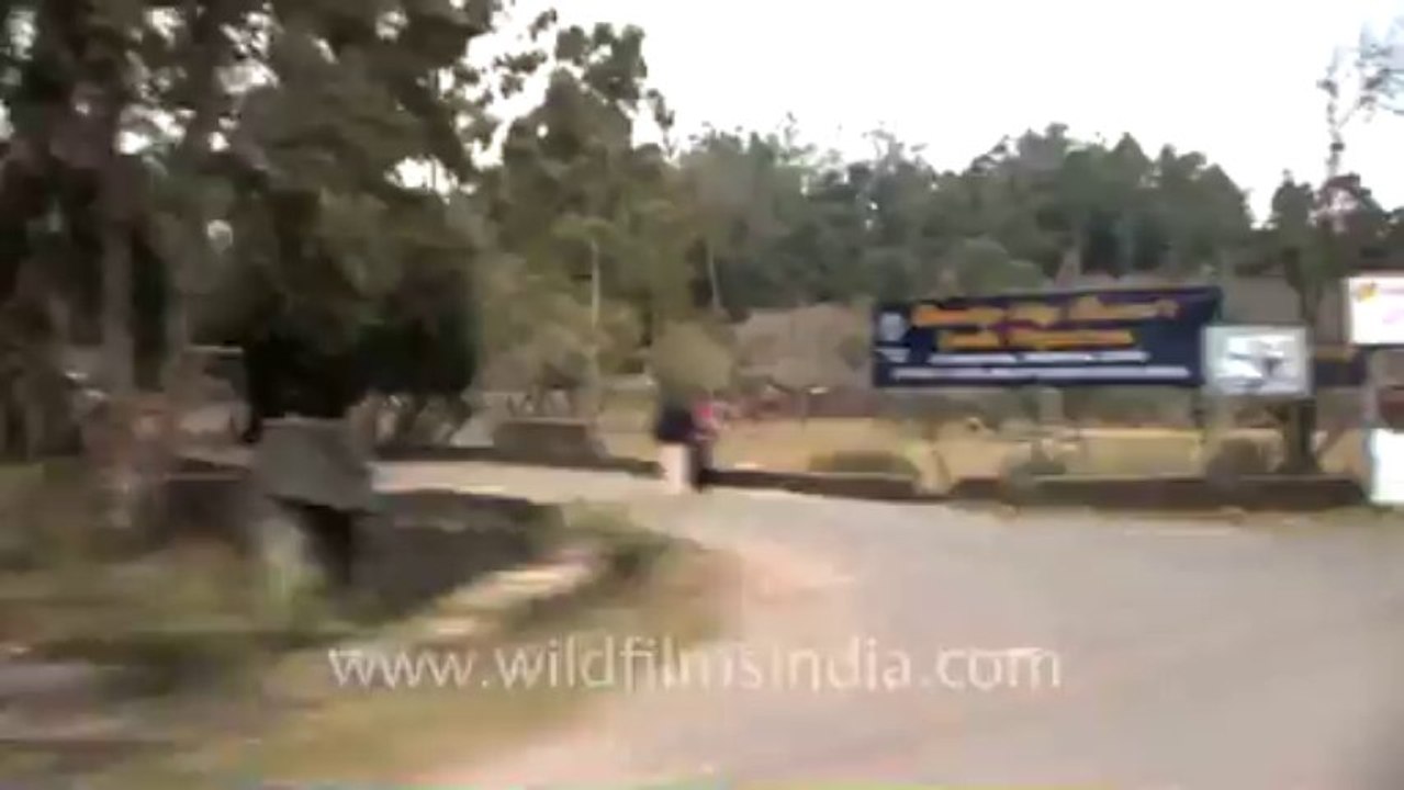 Kodaikanal-13-lets ride