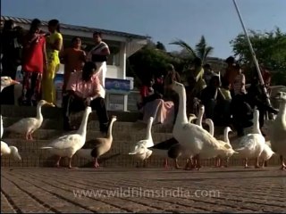 Madhyapradesh-Bhopal-2