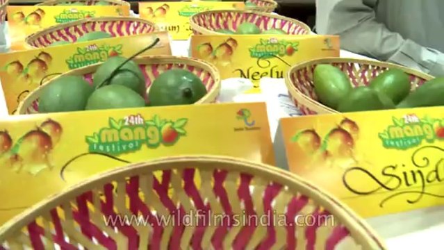 Mango festival-dilli haat-pitampura-4