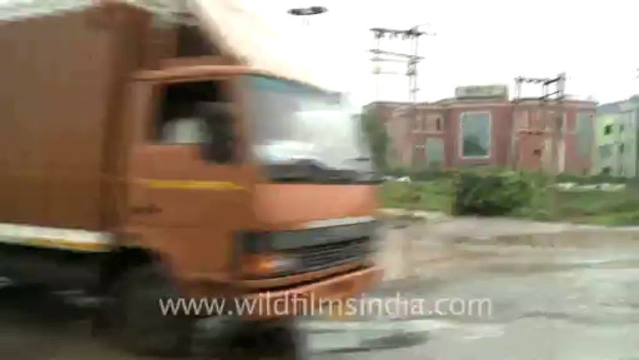 Maruti-1