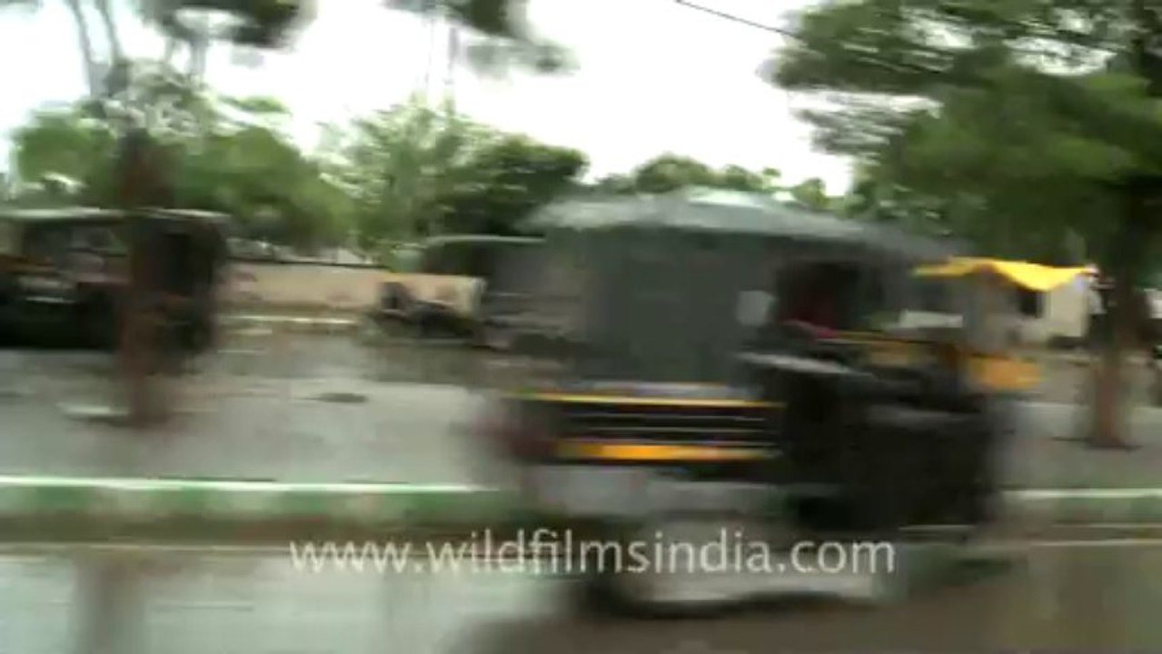 Maruti-5
