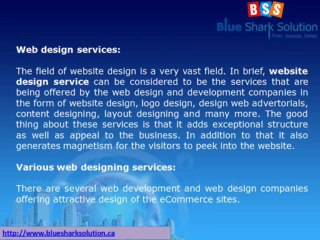 ECommerce website design Winnipeg a ray of hope in the economy of Canada