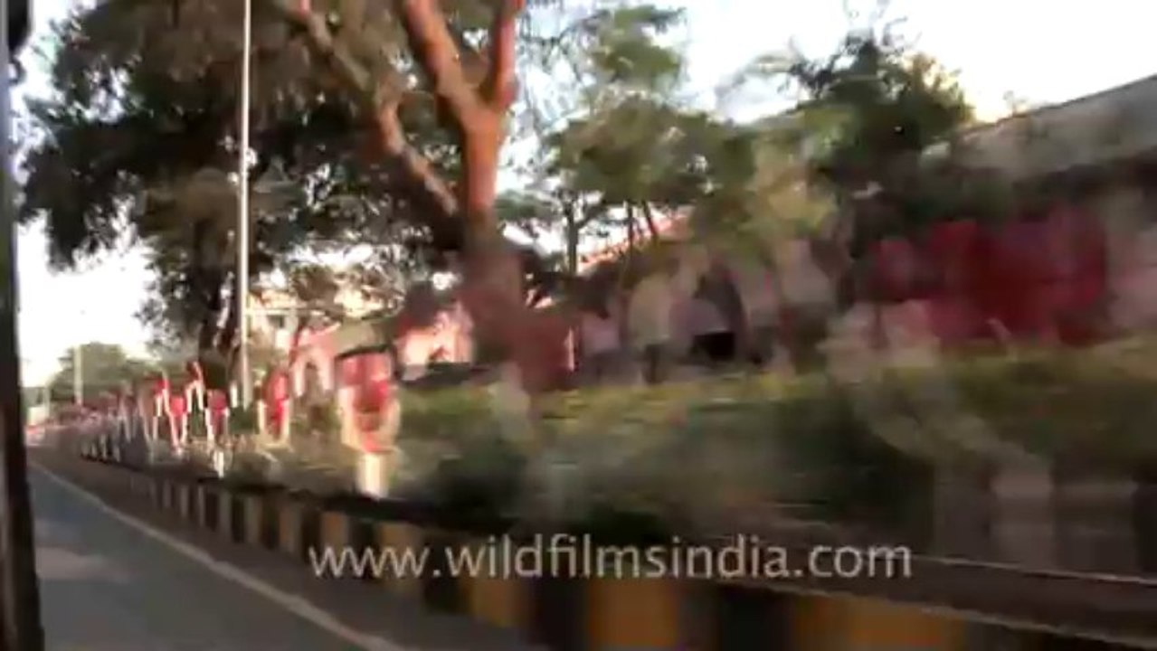 nagpur-6