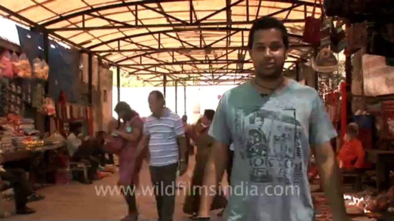 Piece to camera-5