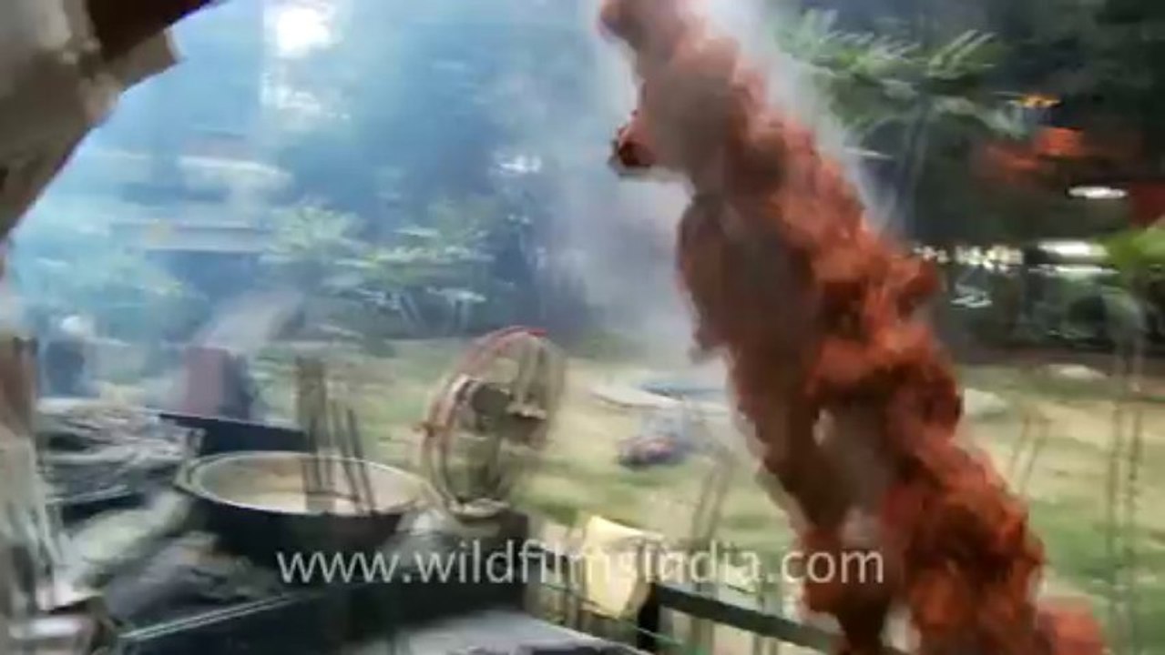 Rajinder dhaba-4