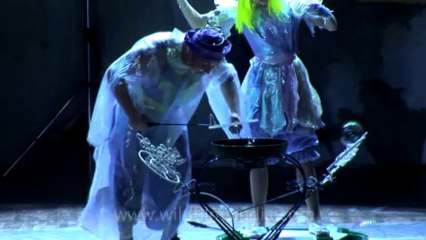 Russian circus show-hdv-411-13