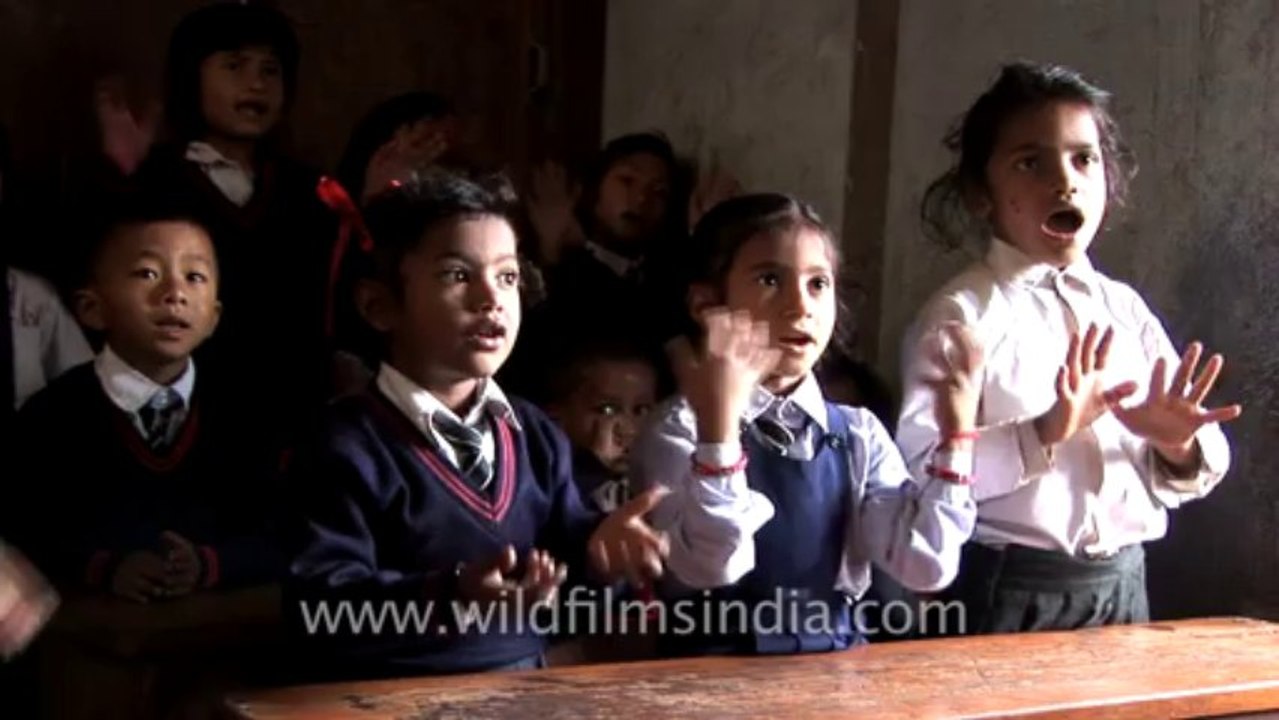 School children-6