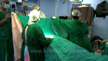 Surgery of Fibroid in Breast-hdv-fx-1-01-25