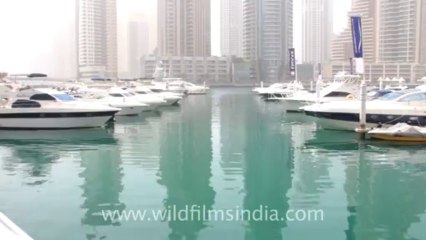 water boats near dubai marina