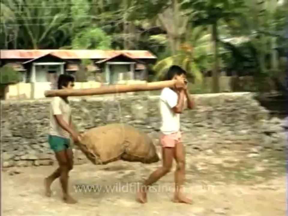 Andaman&Nicobar-2