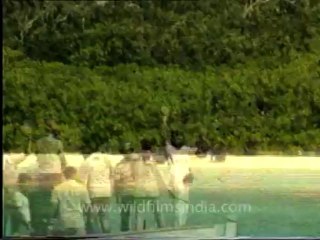 andamans&nicobar-4-4