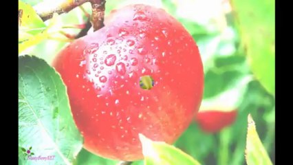 VICTORIA'S SECRET Sexy Little Things Άρωμα EDP Σπρέυ