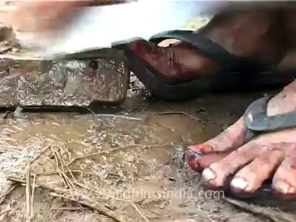 animal slaughter-6