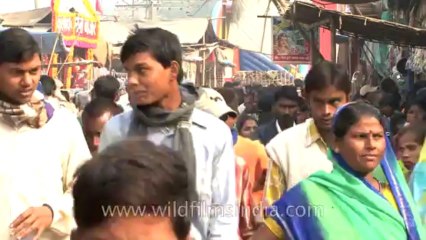 bihar-sonepur fair-hdv-269-28